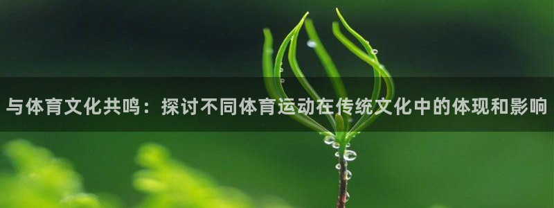 JJB竞技宝官网下载招商电话:与体育文化共鸣:探讨不同体育运